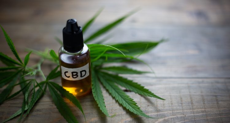 Medicinal cannabis with extract oil in a bottle