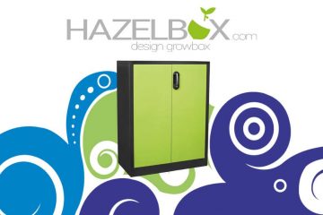 hazelbox-featured-image