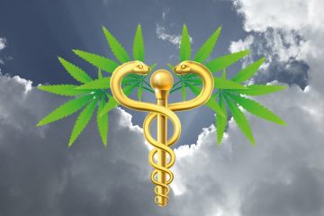 freud_leid_neues_cannabismedizingesetz_news_titelbild